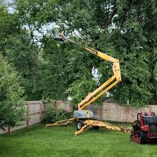 Best Emergency Tree Removal  in East Bangor, PA