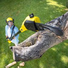 Best Lawn Pest Prevention  in East Bangor, PA