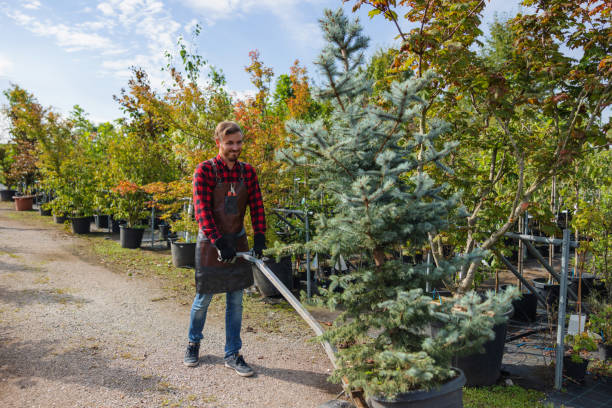 Best Seasonal Cleanup  in East Bangor, PA